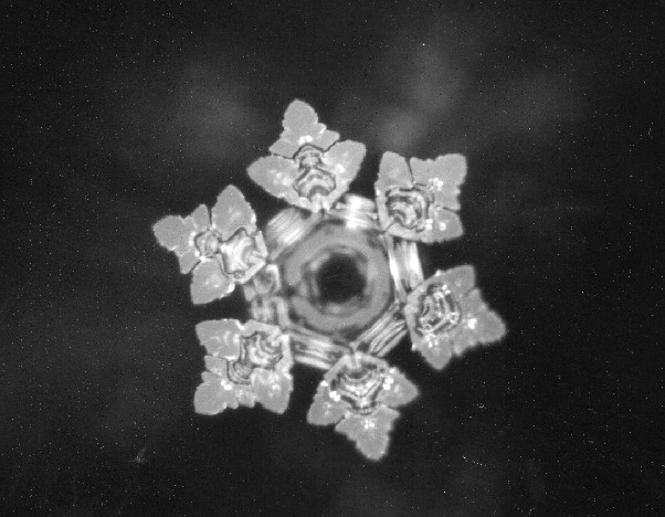 Dr Emoto water crystal
