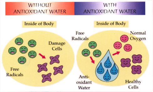 Antioxidant water