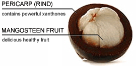 mangoosteen slice
