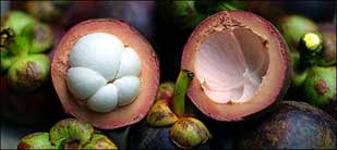 mangosteen slices