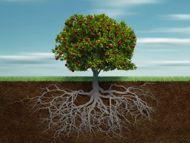 Rooting