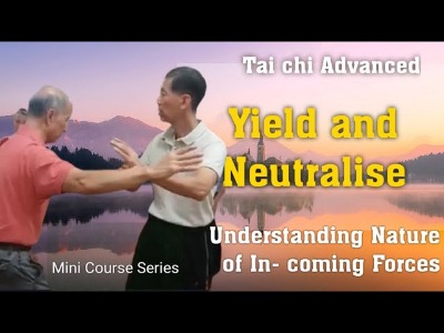 Sifu Yeap demonstrating yielding